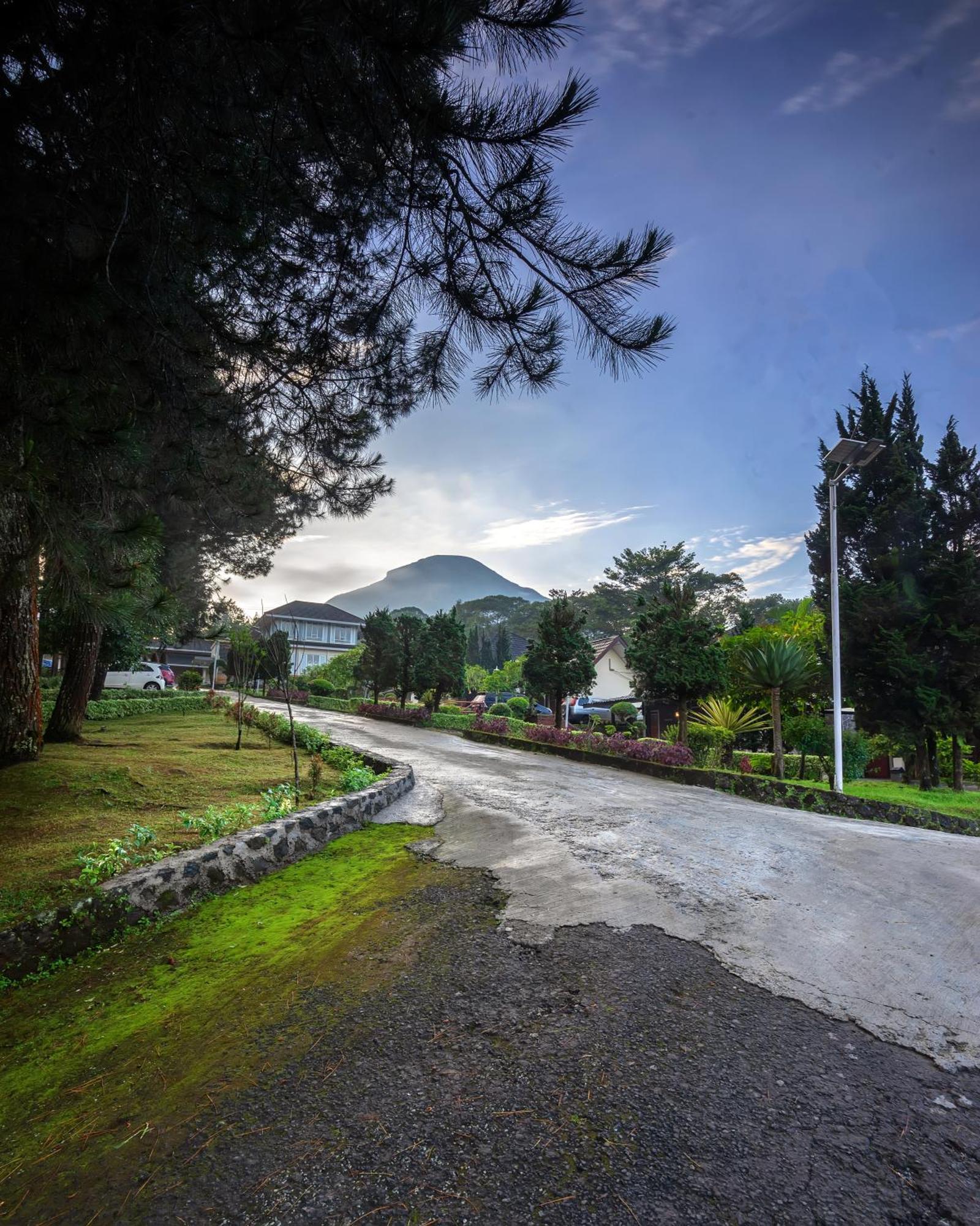 Tambi Tea Resort Kejajar 外观 照片